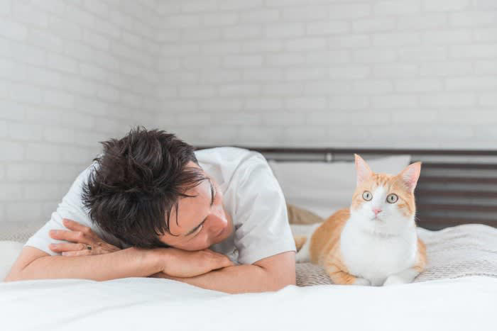 猫の『激怒症候群』とは？主な原因5つを解説, 1.てんかん性発作, 2.脳腫瘍などの脳疾患, 3.神経伝達物質の異常, 4.感覚過敏や身体疾患, 激怒症候群の見分け方, 前触れやきっかけがなく突然攻撃行動が始まる, 威嚇行動がほとんど見られない, 発作後はすぐに穏やかな状態に戻る, 飼い主にできること・正しい接し方, 攻撃のきっかけを減らす環境づくり, 叱らない・刺激しない接し方を徹底する, 記録をつけて獣医師に相談する