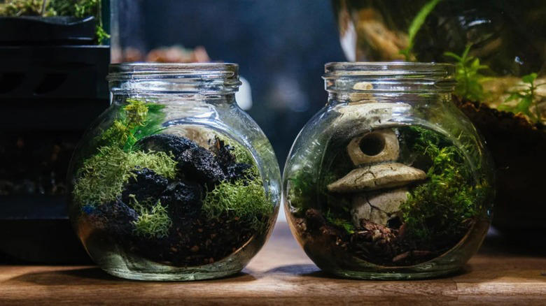 Plant propagators, Homemade sprinkle jars, Small vases, Terrariums, Office supply receptacles, Single-serve salad dressing containers, Art supply holders, Toothpick holders, Pill boxes, Proprietary spice blend jars, Toiletry holders, Travel kits, Fly traps, Spell bottles, Lunchbox parmesan shakers, Fairy houses