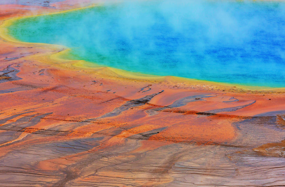 Rainbow Colors Are Living Things The Search Starts Underground, Grand Prismatic Hides Invisible Life, Rainbow Colors Are Living Things, Three Types of Extremophiles Thrive, Why Chemolithotrophs Matter Most, Tom Brock's 1966 Discovery, One Enzyme Won a Nobel, Your COVID Test Started Here, Extremophiles Leave Signatures Behind, Mars Shows Ancient Hot Springs, Perseverance Found Something in 2025, Yellowstone May Prove We're Not Alone