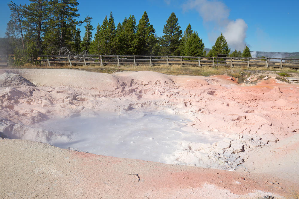Tom Brock's 1966 Discovery The Search Starts Underground, Grand Prismatic Hides Invisible Life, Rainbow Colors Are Living Things, Three Types of Extremophiles Thrive, Why Chemolithotrophs Matter Most, Tom Brock's 1966 Discovery, One Enzyme Won a Nobel, Your COVID Test Started Here, Extremophiles Leave Signatures Behind, Mars Shows Ancient Hot Springs, Perseverance Found Something in 2025, Yellowstone May Prove We're Not Alone