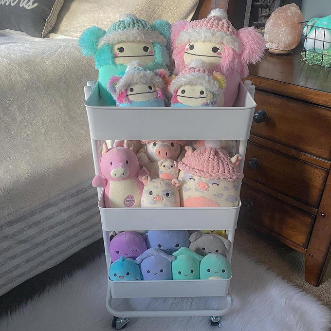 Under Bed Bins, Toy Chest, Shoe Organizer, Macramé Hammock, Bean Bag Chair, About the Expert