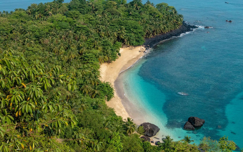 An eco experiment, The cost of a cocoa, A question of time, How to do it