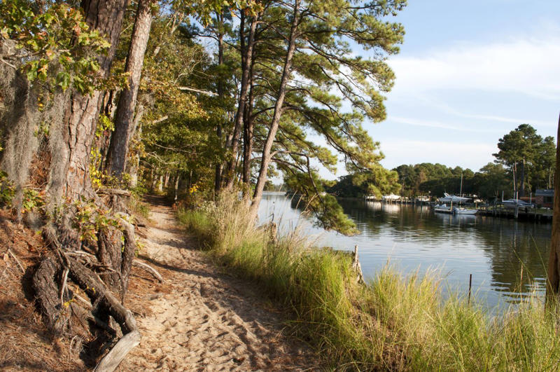 Head To The Beach, Explore The ViBe Creative District, Get Outdoors, Eat Local, Discover Nearby Virginia Beach Towns