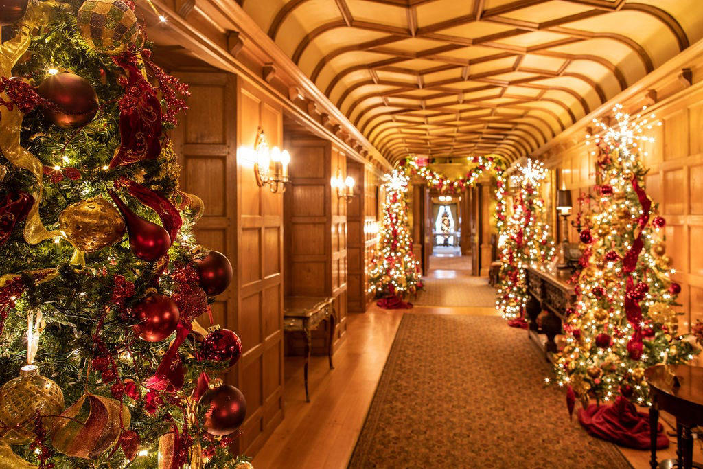 Best Ice Skating Rink, Best Holiday Historic Home Tour, Best Zoo Lights, Best Holiday Parade, Other categories with Michigan winners