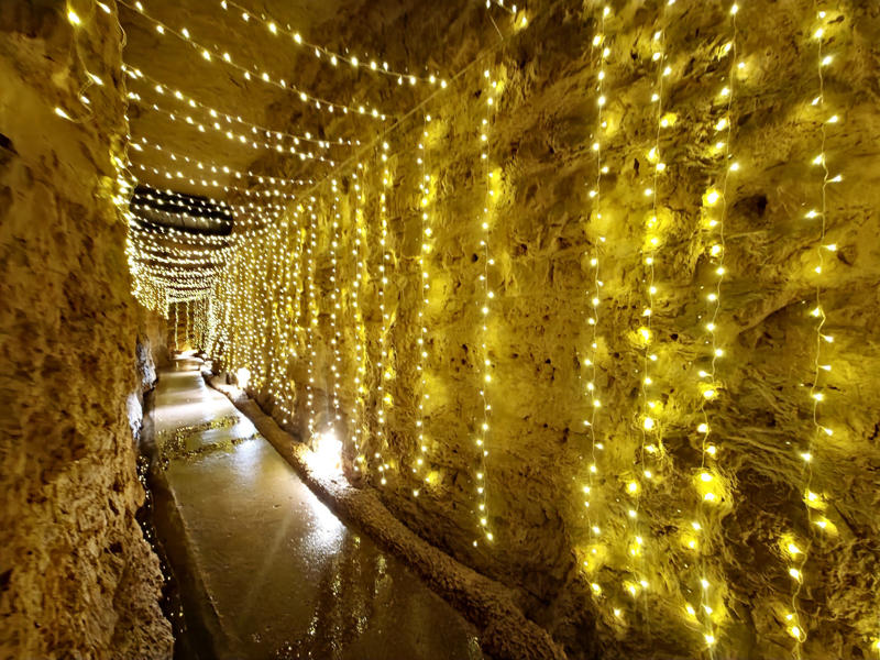 Cave of Lights in Blue Mounds, Monroe Street Elf Door Hunt, Canopy Sessions at Olbrich, The Big Gay Holiday Market