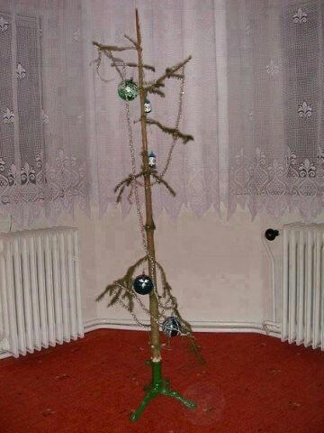 Sad Christmas Tree That’s Basically a Stick Weird Christmas Postcard, Girl Passed Out Under the Christmas Tree, Crying Kid on Santa’s Lap, Santa Writing “Merry Christmas” in Bathroom Graffiti, Santa Asleep on the Bed, Eating on the Floor With a Sad Christmas Tree, Santa Driving While Talking on the Phone, Santa Posing Like a Cool Kid, Sad Christmas Tree That’s Basically a Stick, Broom Used as a Christmas Tree, Santa Drinking Whisky at a Bar, Air Freshener Sticker Used as a Christmas Tree, Plunger Christmas Tree With Toilet Paper, Indoor Snowman Made of Toilet Paper, Christmas Tree Decorated With Toilet Paper Rolls