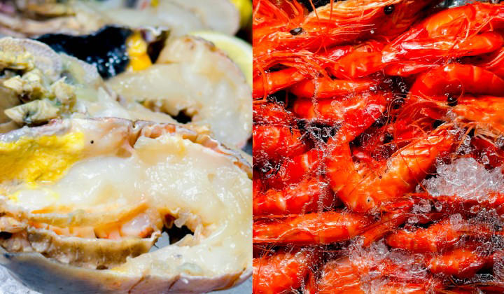 Makan Kitchen: Where The Buffet Becomes Theatre, New Year’s Eve: When Lobster Meets Crêpes, The Art Of Making Memories, Set Menus, Afternoon Tea &amp; New Year’s Countdown