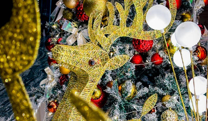 Makan Kitchen: Where The Buffet Becomes Theatre, New Year’s Eve: When Lobster Meets Crêpes, The Art Of Making Memories, Set Menus, Afternoon Tea &amp; New Year’s Countdown