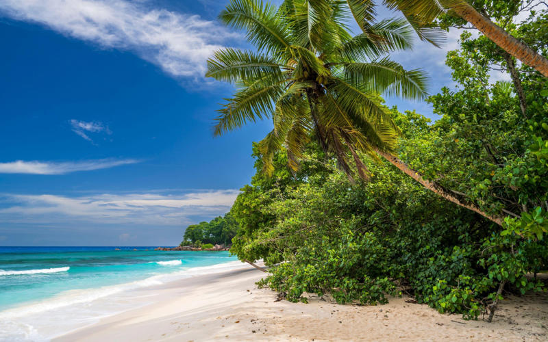 Beau Vallon Beach, Mahé, Anse Lazio, Praslin, Anse Cocos, La Digue, Anse Volbert, Praslin, Anse Sévère, La Digue, Anse Source d’Argent, La Digue, Takamaka Beach, Cerf Island, Petite Anse Kerlan, Praslin, Anse Royale, Mahé, Bird Island, How we choose, About our expert, Paula Hardy