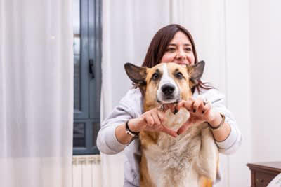 犬が感じる日常の幸せ, 大好きなひとに会えた, 飼い主さんと目が合った, 飼い主さんがそばにいる, 幸福感が高いときの仕草, リラックスした体勢で寝る, しっぽを振って耳を倒す