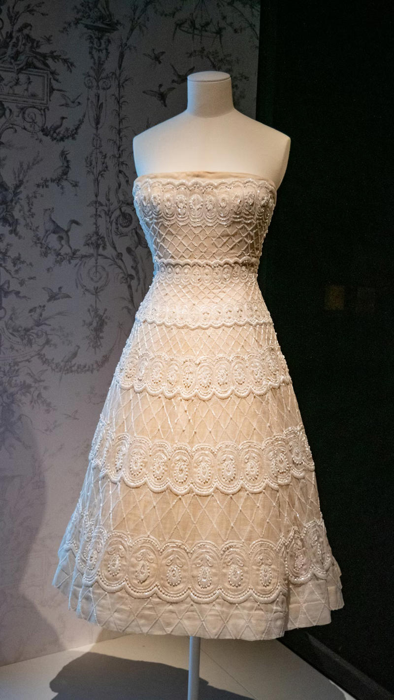A flowing dress with sequins, A light A-line dress, A jersey dress, A fringed dress, A stretch cotton dress, A heavy satin mermaid dress, A ball gown with a petticoat, A strapless dress adorned with pearls, A tulle dress with a train, A form-fitting velvet dress