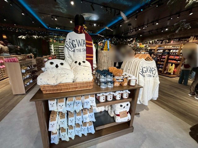 ・店内は “ 禁じられた森” の世界, ・グッズが充実しすぎ, ・無料で歩いていいの？ ダイナミックな装飾たち, ・バックビークまん実食！, ・原宿の新スポットに是非, ・今回訪れた店舗の詳細