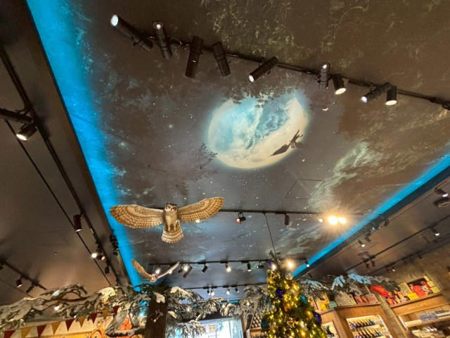 ・店内は “ 禁じられた森” の世界, ・グッズが充実しすぎ, ・無料で歩いていいの？ ダイナミックな装飾たち, ・バックビークまん実食！, ・原宿の新スポットに是非, ・今回訪れた店舗の詳細