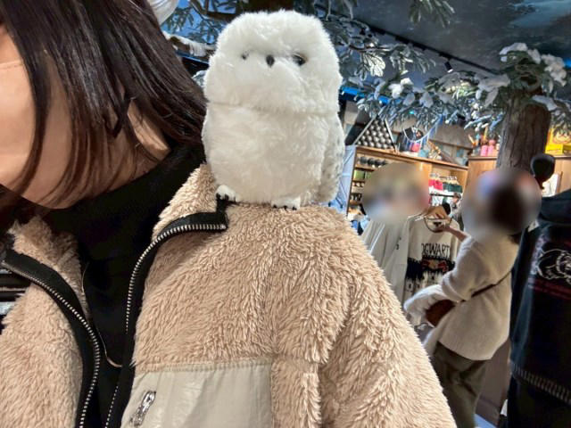 ・店内は “ 禁じられた森” の世界, ・グッズが充実しすぎ, ・無料で歩いていいの？ ダイナミックな装飾たち, ・バックビークまん実食！, ・原宿の新スポットに是非, ・今回訪れた店舗の詳細