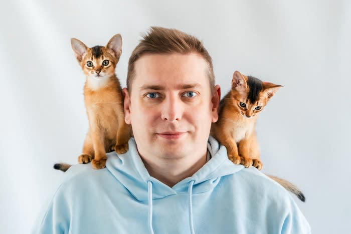 猫が飼い主さんの肩に乗る3つの理由とは？, 1.飼い主さんのそばにいたい・安心できるから, 2.高い場所に登りたいから, 3.飼い主の注意を引きたいから, 肩に乗ろうとする猫への対応はどうする？