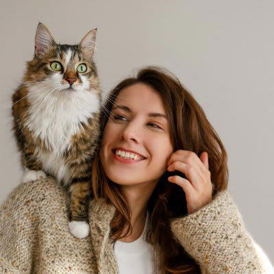 猫が飼い主さんの肩に乗る3つの理由とは？, 1.飼い主さんのそばにいたい・安心できるから, 2.高い場所に登りたいから, 3.飼い主の注意を引きたいから, 肩に乗ろうとする猫への対応はどうする？