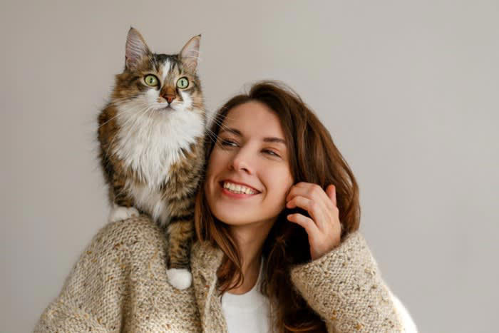 猫が飼い主さんの肩に乗る3つの理由とは？, 1.飼い主さんのそばにいたい・安心できるから, 2.高い場所に登りたいから, 3.飼い主の注意を引きたいから, 肩に乗ろうとする猫への対応はどうする？