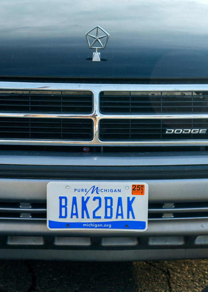 Gawker magnet, Born from boredom , The important questions, Paparazzi , 'Good stupid'