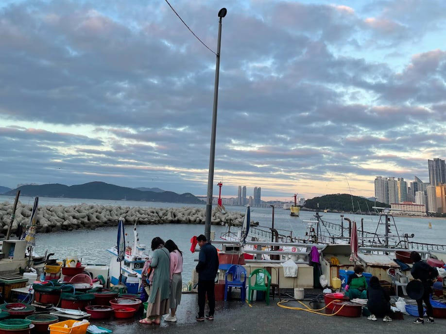 I always go the distance for Busan, Suwon is a chill day trip from Seoul, Gyeongju is rich with history, Incheon is more than just an airport hub