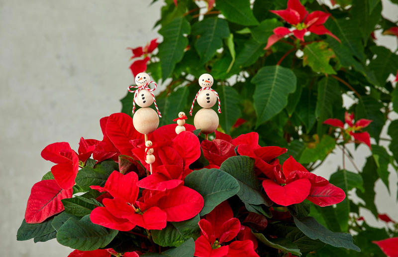 Decorative snowman sticks Get crafty and make these gorgeous holiday gifts, Mini cactus planters, Decorative snowman sticks, Festive nut vases, Poinsettia planters, Vintage-style bird feeder, Scandi Christmas trees, Woodland jar terrariums, Scented room sprays, Lemon salt scrub, Say it with words