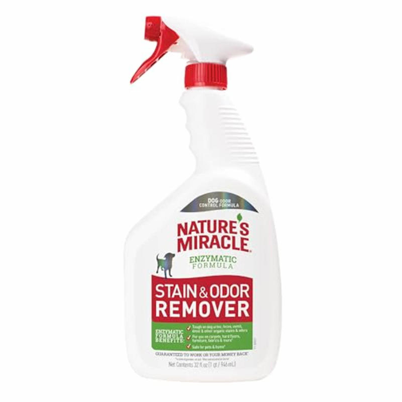 How I picked the best pet stain removers, The best pet stain removers in 2025, How to shop for pet stain removers, Meet our experts, Why trust NBC Select?