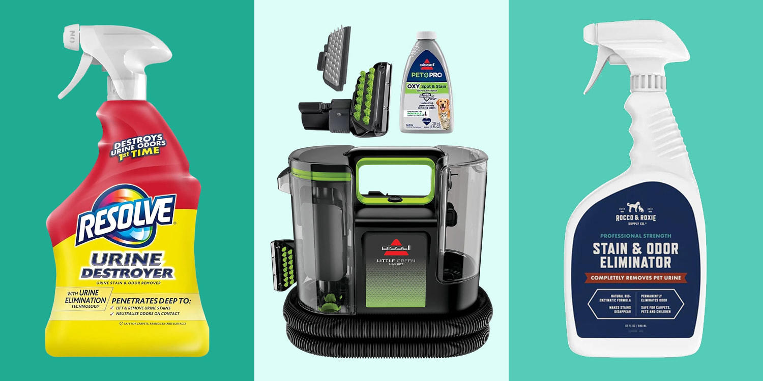 How I picked the best pet stain removers, The best pet stain removers in 2025, How to shop for pet stain removers, Meet our experts, Why trust NBC Select?
