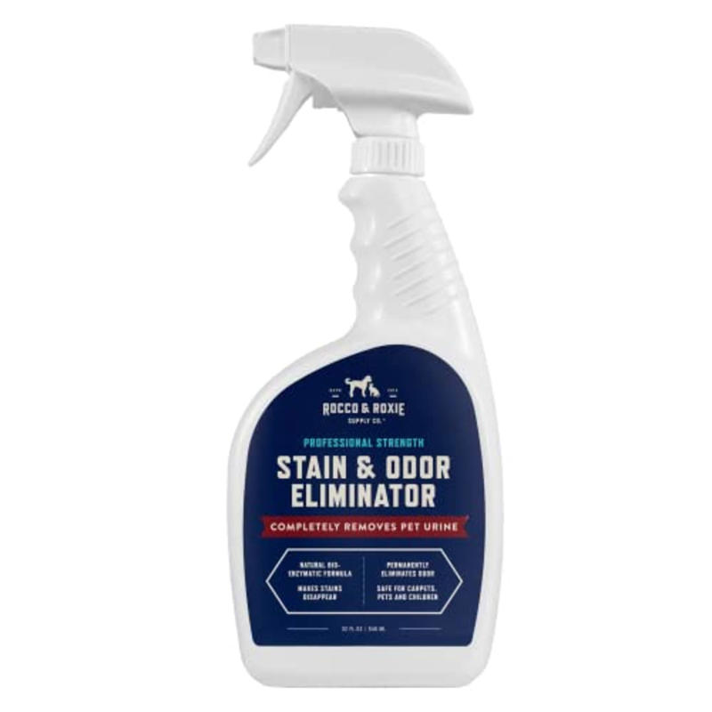 How I picked the best pet stain removers, The best pet stain removers in 2025, How to shop for pet stain removers, Meet our experts, Why trust NBC Select?