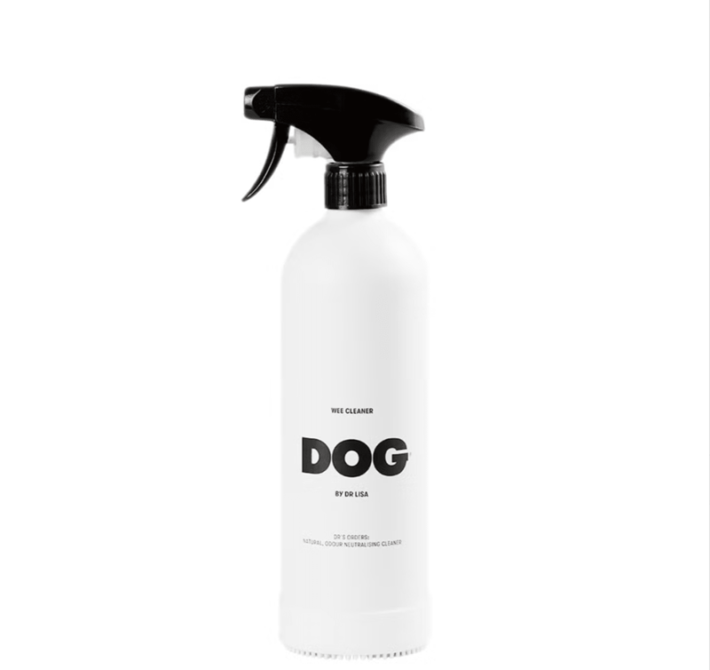 How I picked the best pet stain removers, The best pet stain removers in 2025, How to shop for pet stain removers, Meet our experts, Why trust NBC Select?