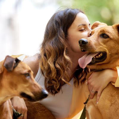 犬の飼い主にとって絶対必要なこと, 1.放り出さずにやり遂げる気持ち, 2.相手のことを思いやれる広い心, 3.苦労を乗り越えるための創意工夫, 4.知らないことを知ろうとする努力, 5.できないことを認める勇気, 理想的な飼い主の在り方とちょっとしたノウハウ, 時間を上手に使える飼い主になろう, 正しい知識を習得している飼い主になろう, 万が一への備えをしておこう