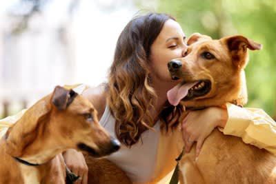 犬の飼い主にとって絶対必要なこと, 1.放り出さずにやり遂げる気持ち, 2.相手のことを思いやれる広い心, 3.苦労を乗り越えるための創意工夫, 4.知らないことを知ろうとする努力, 5.できないことを認める勇気, 理想的な飼い主の在り方とちょっとしたノウハウ, 時間を上手に使える飼い主になろう, 正しい知識を習得している飼い主になろう, 万が一への備えをしておこう