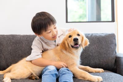 犬が『いじけている』ときにみせるサイン５選, 1.伏せたまま上目遣いで見つめる, 2.声をかけても無視する, 3.「ふんっ」と不満げにため息をつく, 4.物を破壊したりわざと粗相したりする, 5.飼い主の行動を邪魔する, 犬がふてくされる原因は？機嫌を直すための対応も, ふてくされた犬をご機嫌にするためにできること