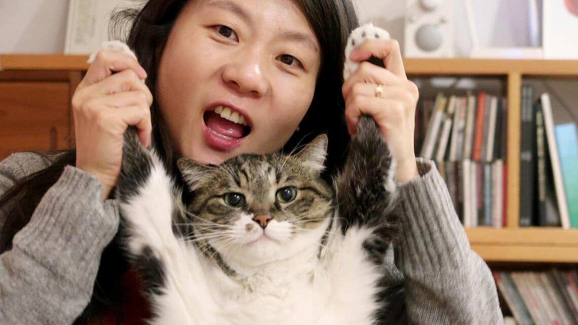 老いた猫たちとの暮らし, 突然、死んでしまったゴロ, 4年が過ぎても胸が張り裂けそうになる, いつかは別れの日が来ると知っていても
