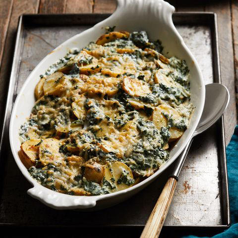 Creamy Cabbage with Sun-Dried Tomatoes, Spiced Butternut Squash &amp; Apple Casserole, Chicken &amp; Green Bean Casserole, Broccoli au Gratin, Skillet Spinach, Mushroom &amp; Wild Rice Casserole, Loaded Cabbage Casserole, Wild Rice Stuffing with Apple &amp; Sausage, Parmesan Scalloped Potatoes with Spinach, Carrot Casserole, Best Sweet Potato Casserole, Mushroom-Cornbread Stuffing, Old-Fashioned Sweet Potato Casserole, Sour Cream-&amp;-Onion Chicken Casserole, Scalloped Sweet Potatoes, Vegan Green Bean Casserole, Sage Cornbread Dressing, Sweet Potato Soufflé, Broccoli Casserole, Loaded Mashed Potato Casserole