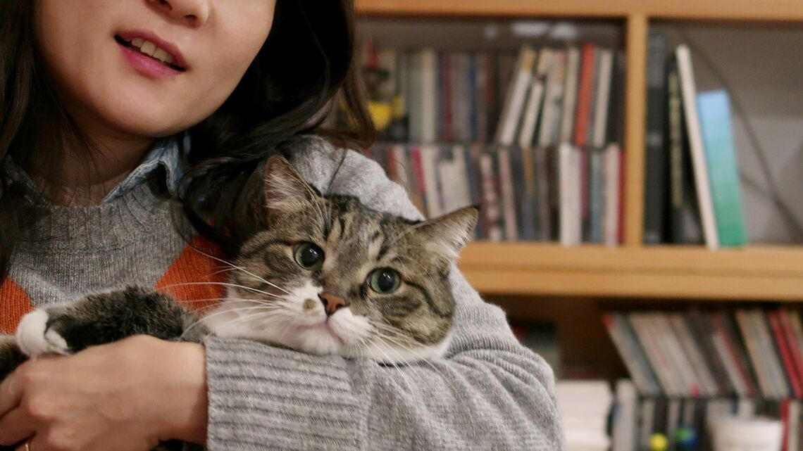老いた猫たちとの暮らし, 突然、死んでしまったゴロ, 4年が過ぎても胸が張り裂けそうになる, いつかは別れの日が来ると知っていても