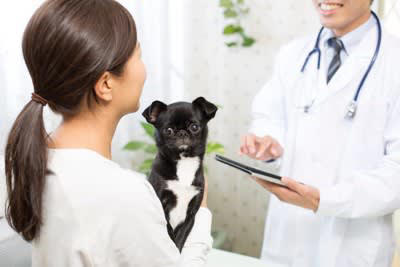 犬が自分の体を舐める理由, 1.気になるニオイや汚れを取り除きたい, 2.かゆい・痛い・違和感がある, 3.一時的なストレス（苛立ちや不安）を落ち着けたい, 4.ストレスが慢性化している, 5.飼い主の気を引きたい, 執拗に舐め続ける場合の対処法, 慢性化したストレス, 学習に基づく行動, 動物病院を受診する際の考え方