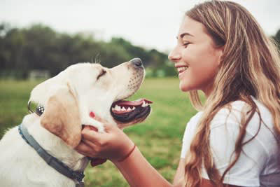 犬はどんなときに孤独を感じるの？, 犬に寂しい思いをさせないためにできること3つ, 1.スキンシップやコミュニケーションを取る, 2.ひとりで楽しく過ごす方法を教える, 3.留守番前後に過剰な挨拶をしない