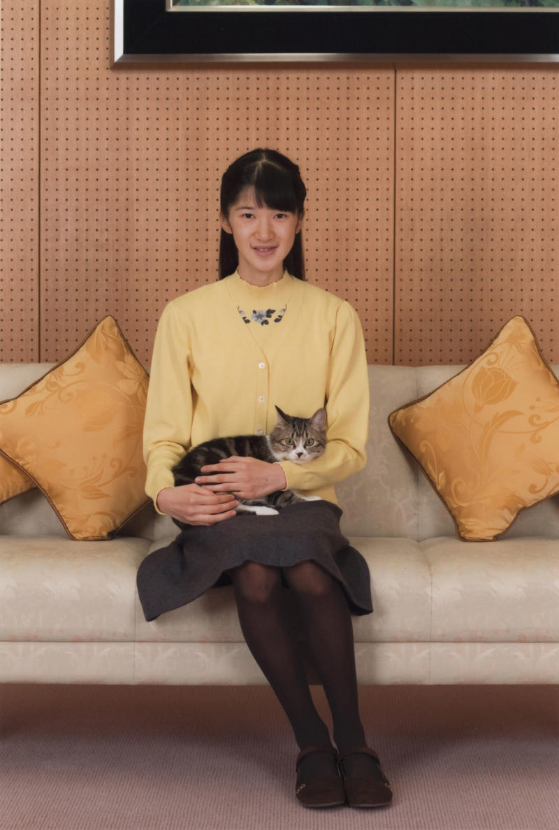 ■愛子さまと雅子さまが撮影した美海, ■美しい海を願って, ■非常階段を登った母猫とセブン, ■ビルの7階で保護したから