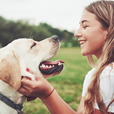 犬はどんなときに孤独を感じるの？, 犬に寂しい思いをさせないためにできること3つ, 1.スキンシップやコミュニケーションを取る, 2.ひとりで楽しく過ごす方法を教える, 3.留守番前後に過剰な挨拶をしない