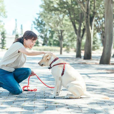 犬が飼い主から「褒められた」ときに思うこと5選, 1.「飼い主が楽しそう！」, 2.「この声や触り方、大好き！」, 3.「これをすると、ご褒美がもらえるぞ！」, 4.「飼い主が満足していて、安心！」, 5.「もっと喜ばせたい！」, 犬のやる気を引き出す上手な褒め方, やってはいけない！逆効果になる褒め方