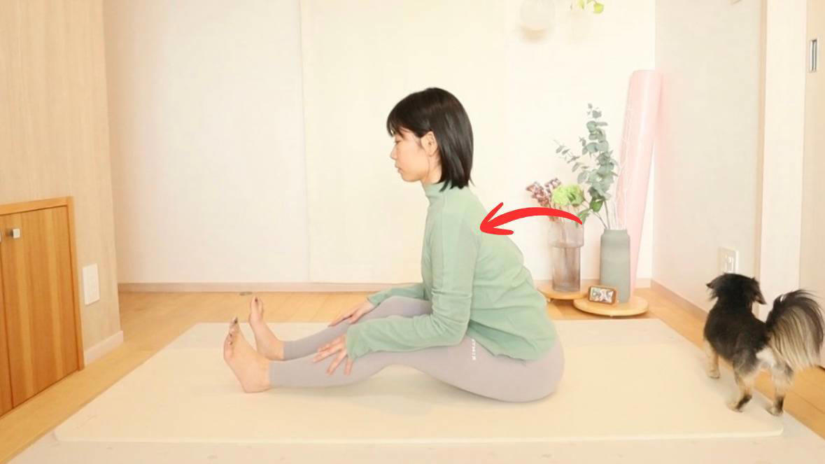 太もも裏が硬いと首こりが改善しない理由, 太もも裏をほぐすことで得られる効果, もも裏ストレッチのやり方, 効果を出すポイント