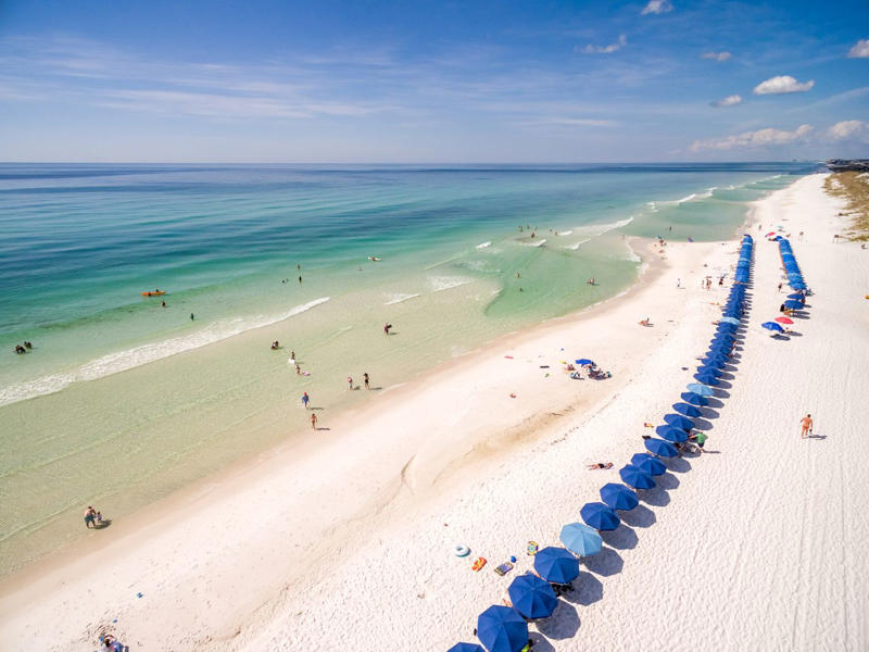 Where To Eat, Where To Shop, What To Do, Where To Stay