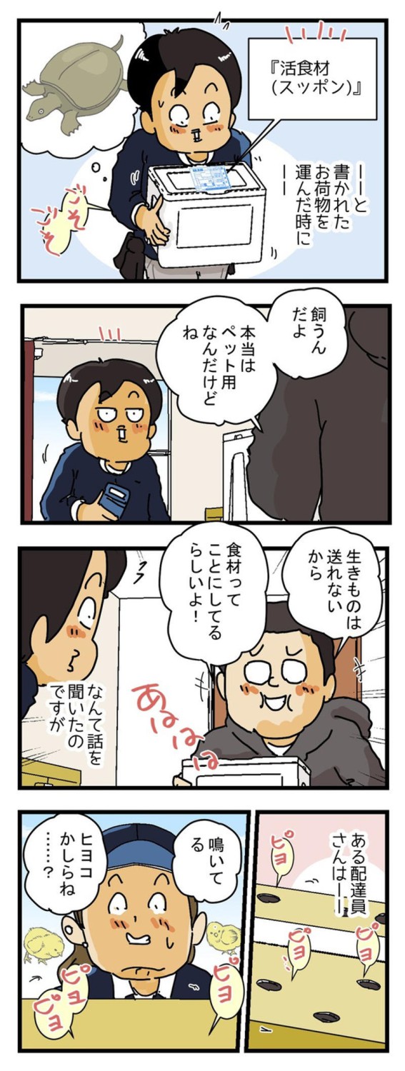 「桃」なのに鳴いている…現場が一瞬フリーズした瞬間, 「生き物NG」でも抜け道はある？現場で見てきた品名の実態, 道端で倒れていた鳩が教えてくれた“正規ルート”, 「知らなかった」では済まされない、だからこそ面白い現場のリアル