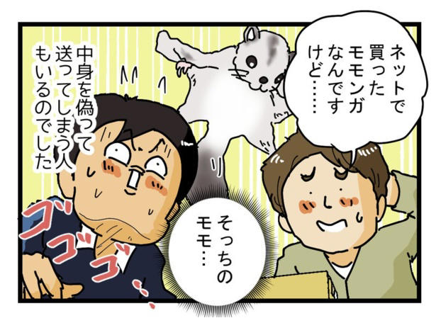 「桃」なのに鳴いている…現場が一瞬フリーズした瞬間, 「生き物NG」でも抜け道はある？現場で見てきた品名の実態, 道端で倒れていた鳩が教えてくれた“正規ルート”, 「知らなかった」では済まされない、だからこそ面白い現場のリアル