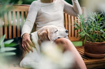 犬が飼い主に伝えたい『感謝の気持ち』５選, 1.「遊んでくれてありがとう」, 2.「美味しいご飯をくれてありがとう」, 3.「安心できる環境をありがとう」, 4.「たっぷり甘えさせてくれてありがとう」, 5.「気持ちを汲み取ってくれてありがとう」, 犬が「ありがとう」を言っているサイン, 犬に伝わるように愛情を与える方法