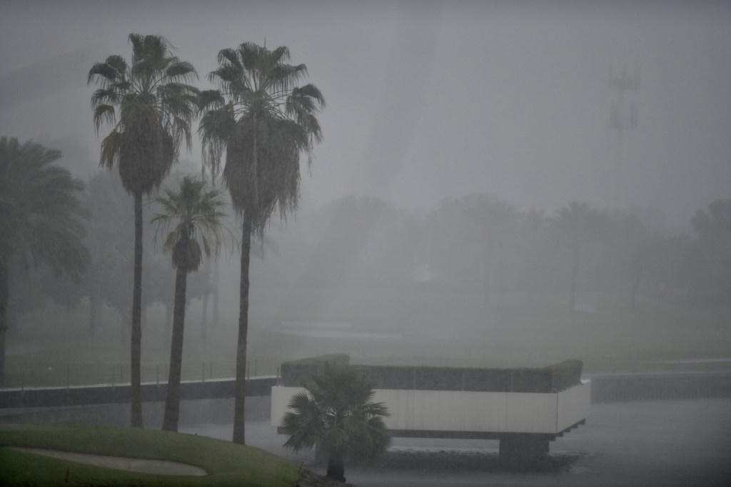 What is the weather forecast for Dubai?