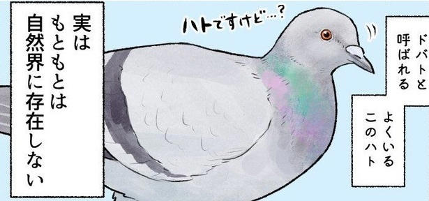 第1位『身近で目にする鳥たちの意外と知らない素顔!?』, 第2位『祖父母と食事をして思ったこと』, 第3位『入学初日の思い出』, 第4位『バレバレ旦那と優しい奥さん』
