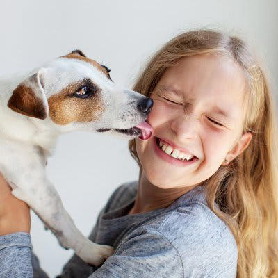 犬が『飼い主に言いたいこと』5選, 2.「撫でてください」, 3.「お腹すいたなぁ」, 5.「人間じゃないのに…」, 愛犬からの気持ちを読み取るポイント