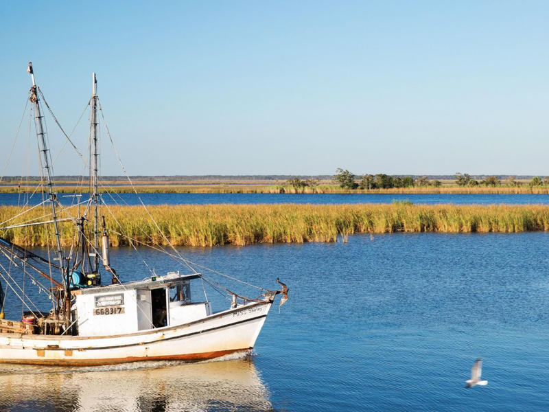 Where Is The Forgotten Coast?, Best Things To Do, Where To Eat and Drink, Where To Shop, Where to Stay