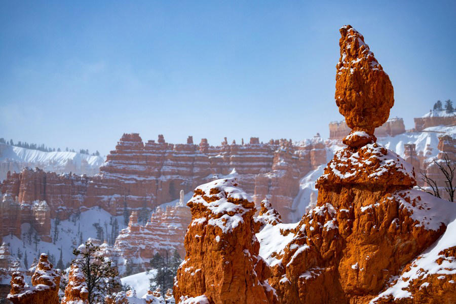 Grand Teton National Park (Wyoming), Yosemite National Park (California), Acadia National Park (Maine), Yellowstone National Park (Wyoming, Montana, Idaho), Rocky Mountain National Park (Colorado), Grand Canyon National Park (Arizona), Bryce Canyon National Park (Utah)