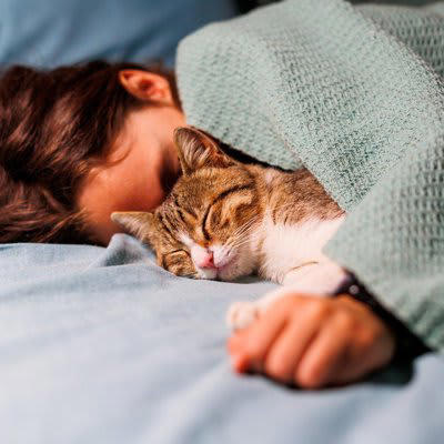 猫が『一緒に寝たい』と感じる人の特徴, 1.そばにいると安心できる, 2.体温や寝返りがちょうどいい, 3.不快に感じないニオイをしている, 4.無言のコミュニケーションが上手, 添い寝で気をつけたい大切なポイント